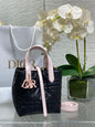 Toujours Vertical Small Bag — Black & Pink Colour-Block