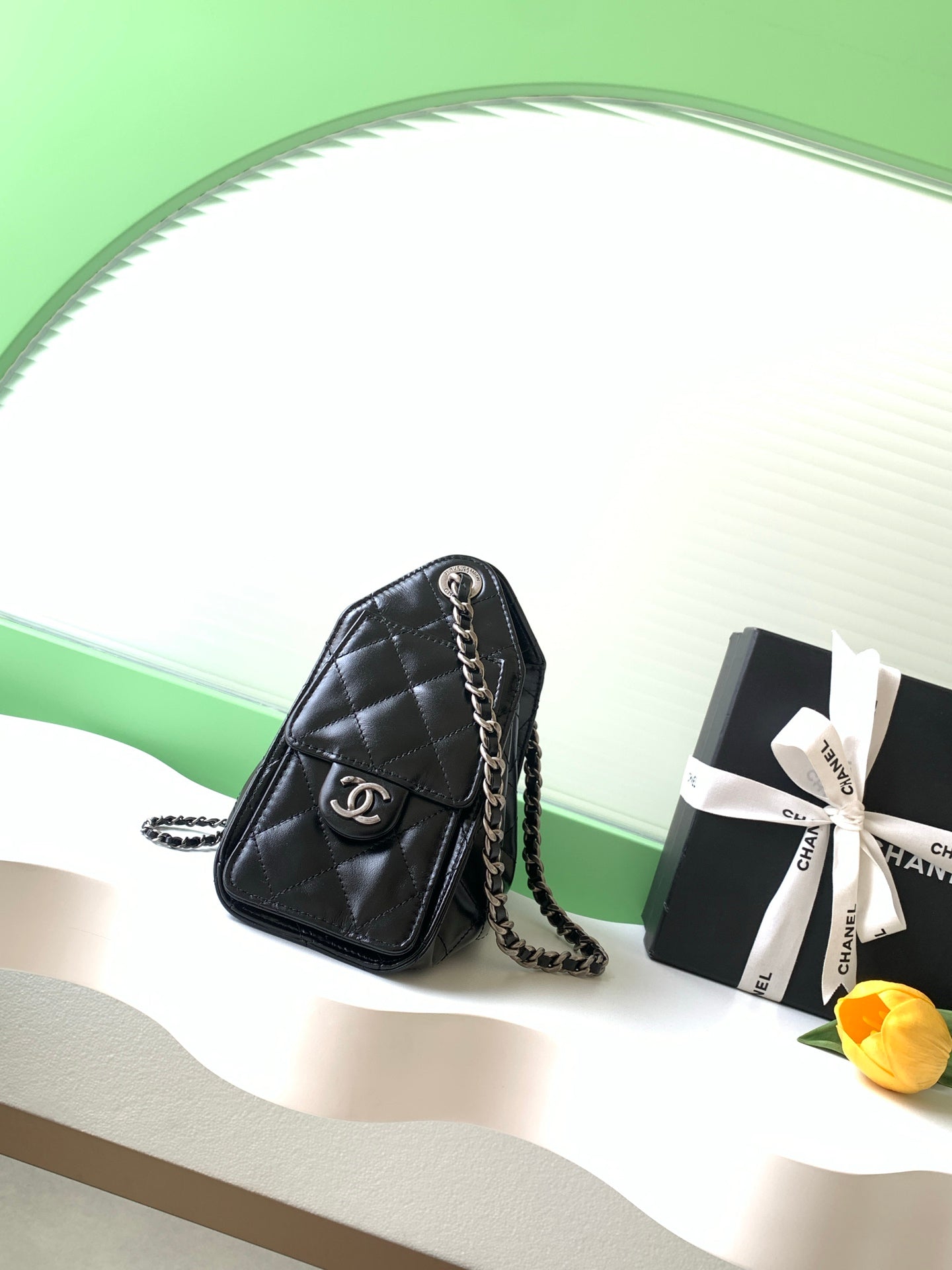 Chanel 25 Mini Hobo Bag