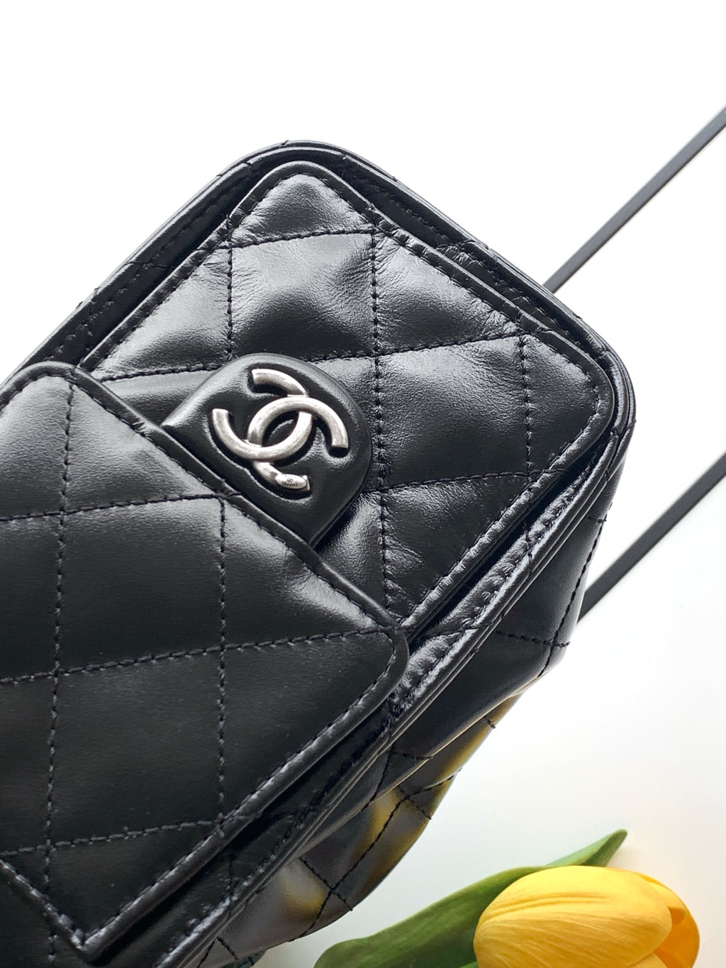 Chanel 25 Mini Hobo Bag