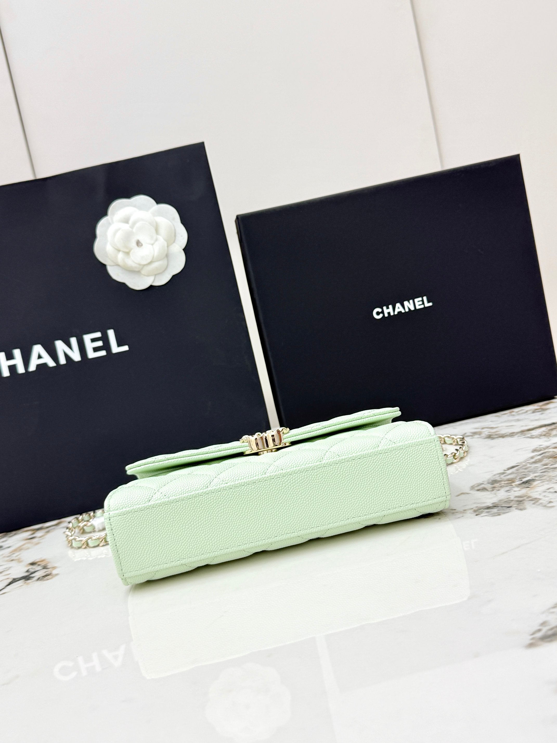 Chanel 25S Caviar Leather Kelly Handle Bag — Bubble Green