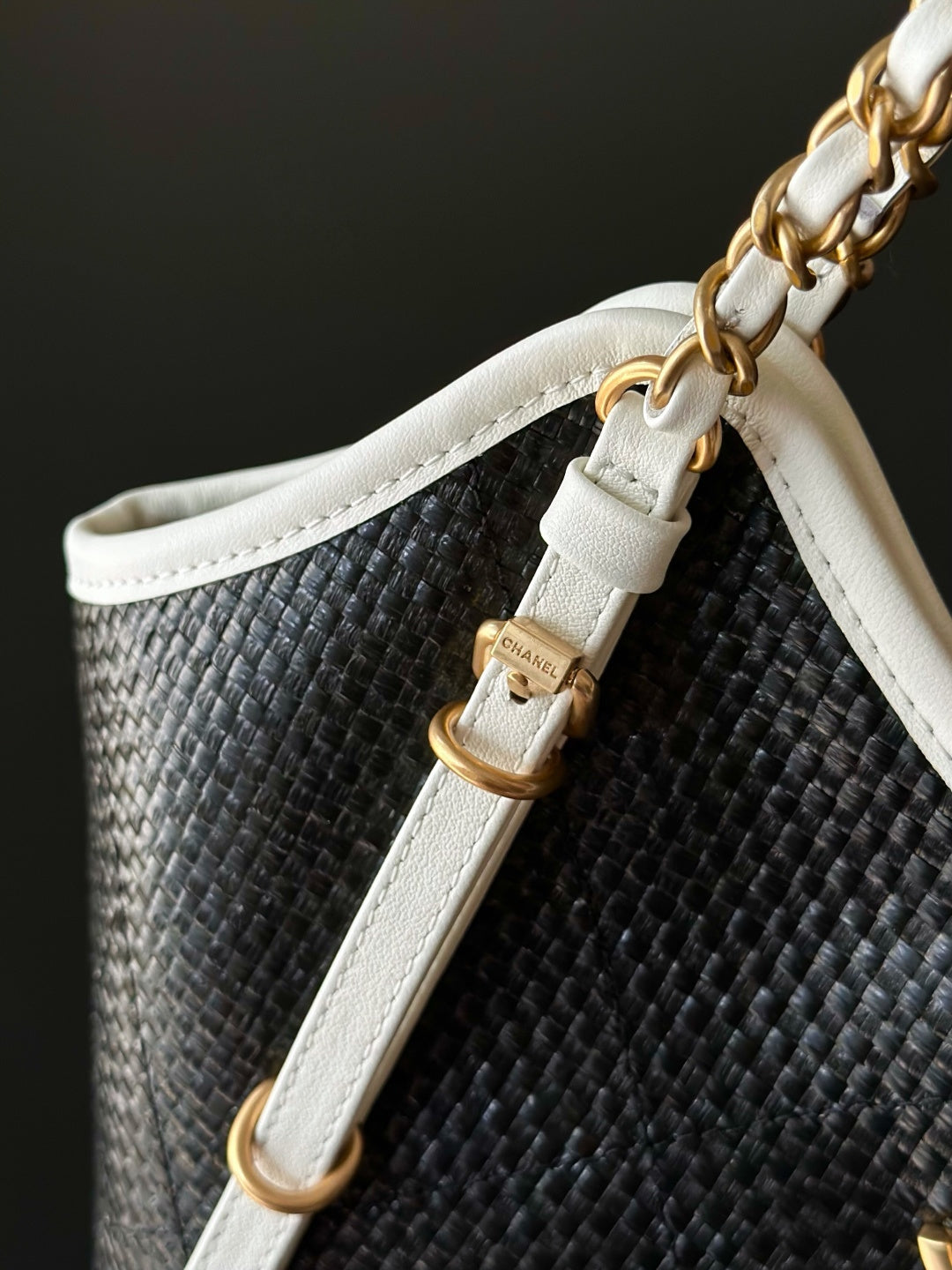 Chanel 25S Maxi Hobo Bag — Grass-Woven Cowhide Tote in Black & White