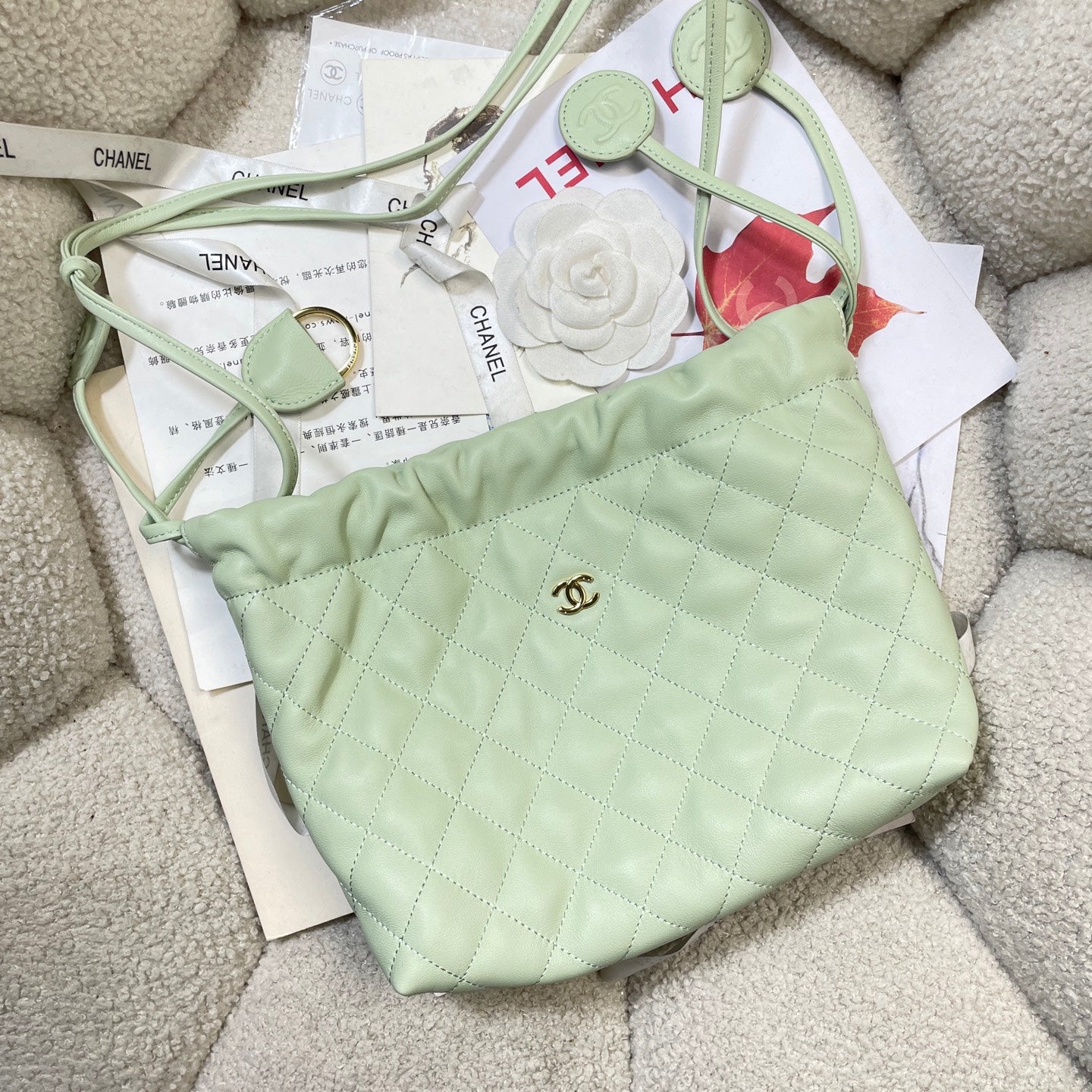 Chanel 25 Small Hobo Bag Mint Green Lambskin & Gold