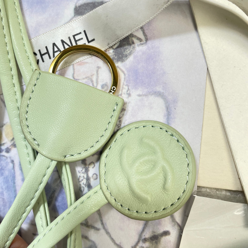 Chanel 25 Mini Hobo Bag Mint Green Lambskin & Gold