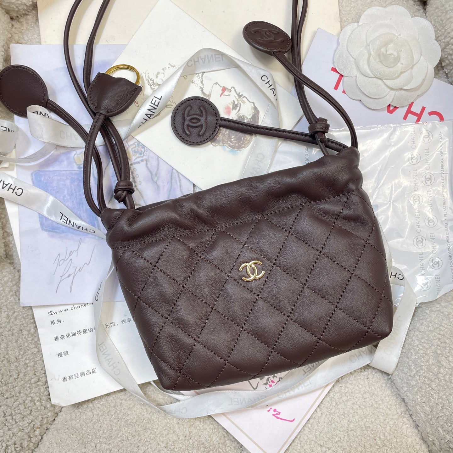 Chanel 25 Mini Hobo Bag Dark Brown Lambskin & Gold