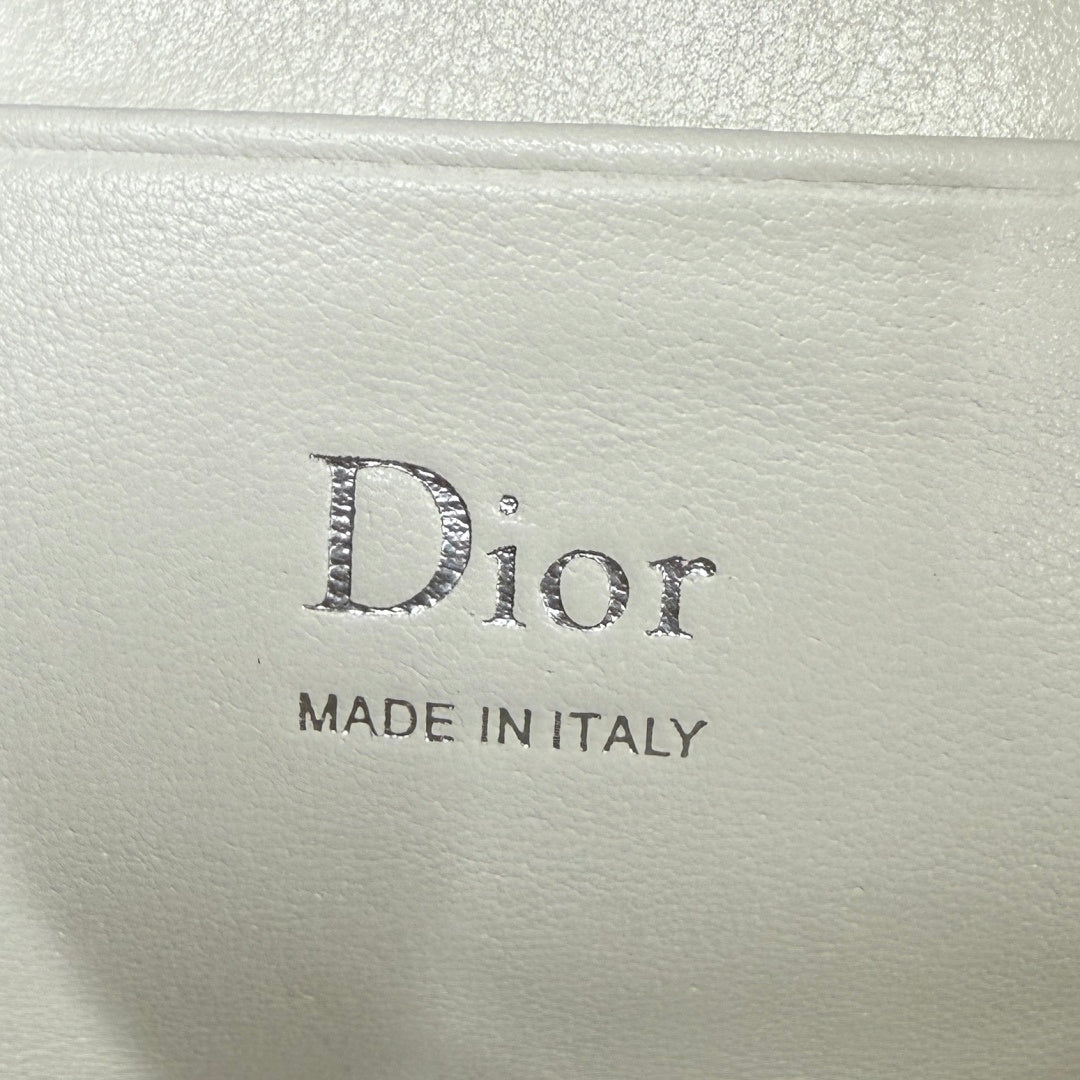 Dior D-Cushion Camera Bag — Milky White Ultra-Soft Lambskin with Silver Hardware