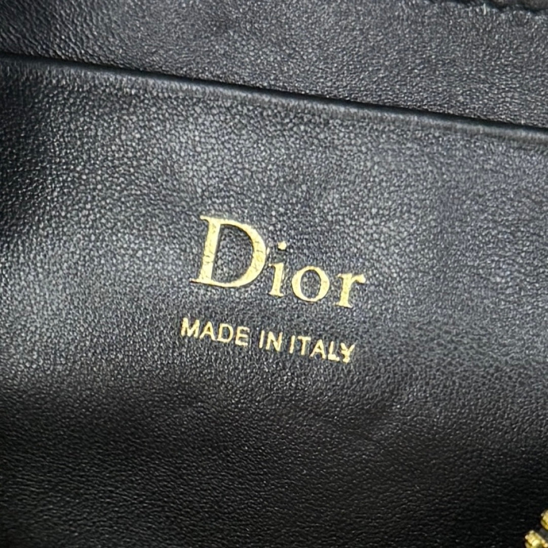 Dior D-Cushion Camera Bag — Black Ultra-Soft Lambskin with Gold Hardware