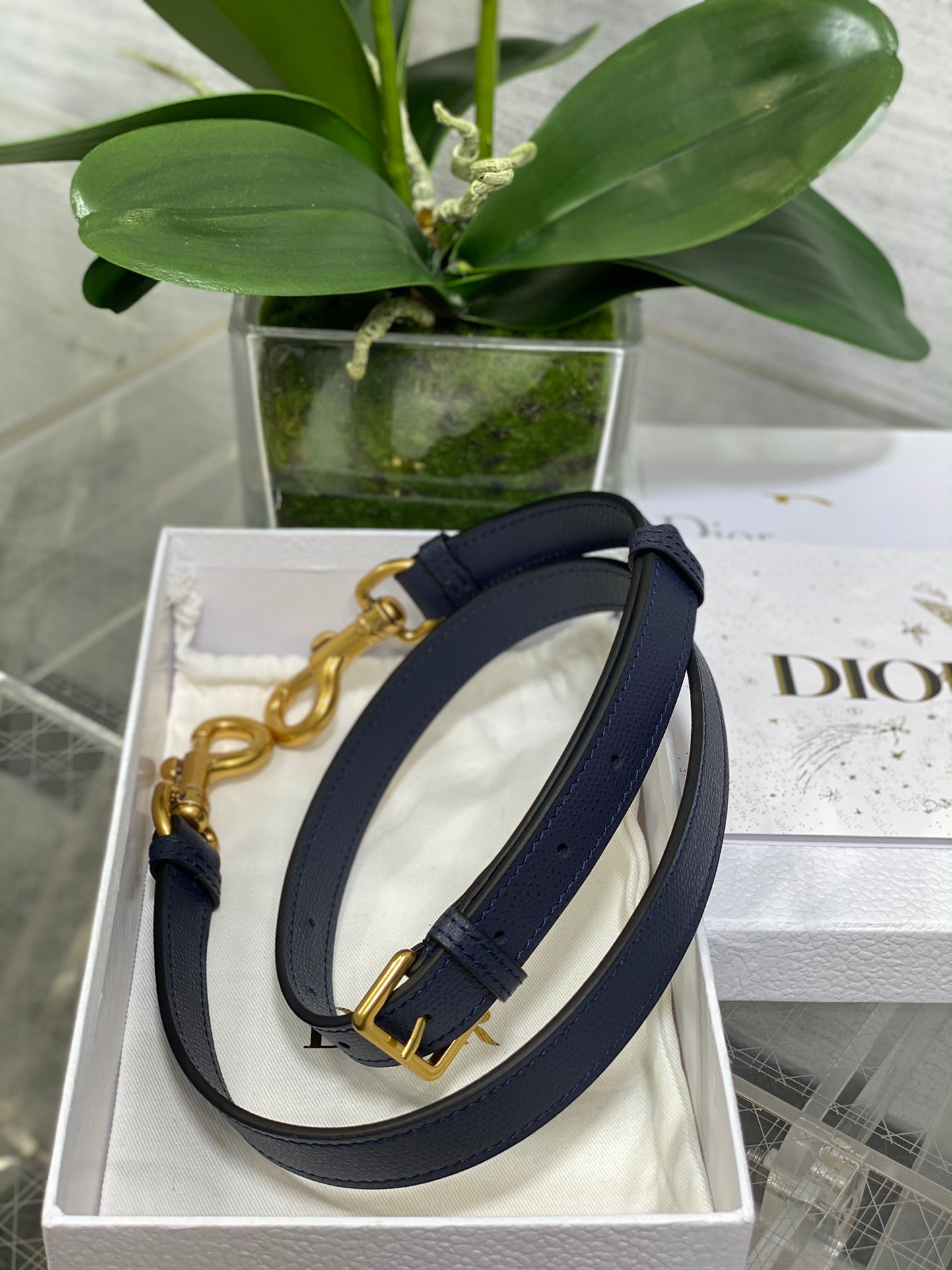 Dior Saddle Bag — Navy Blue Grained Calfskin with Gold Hardware