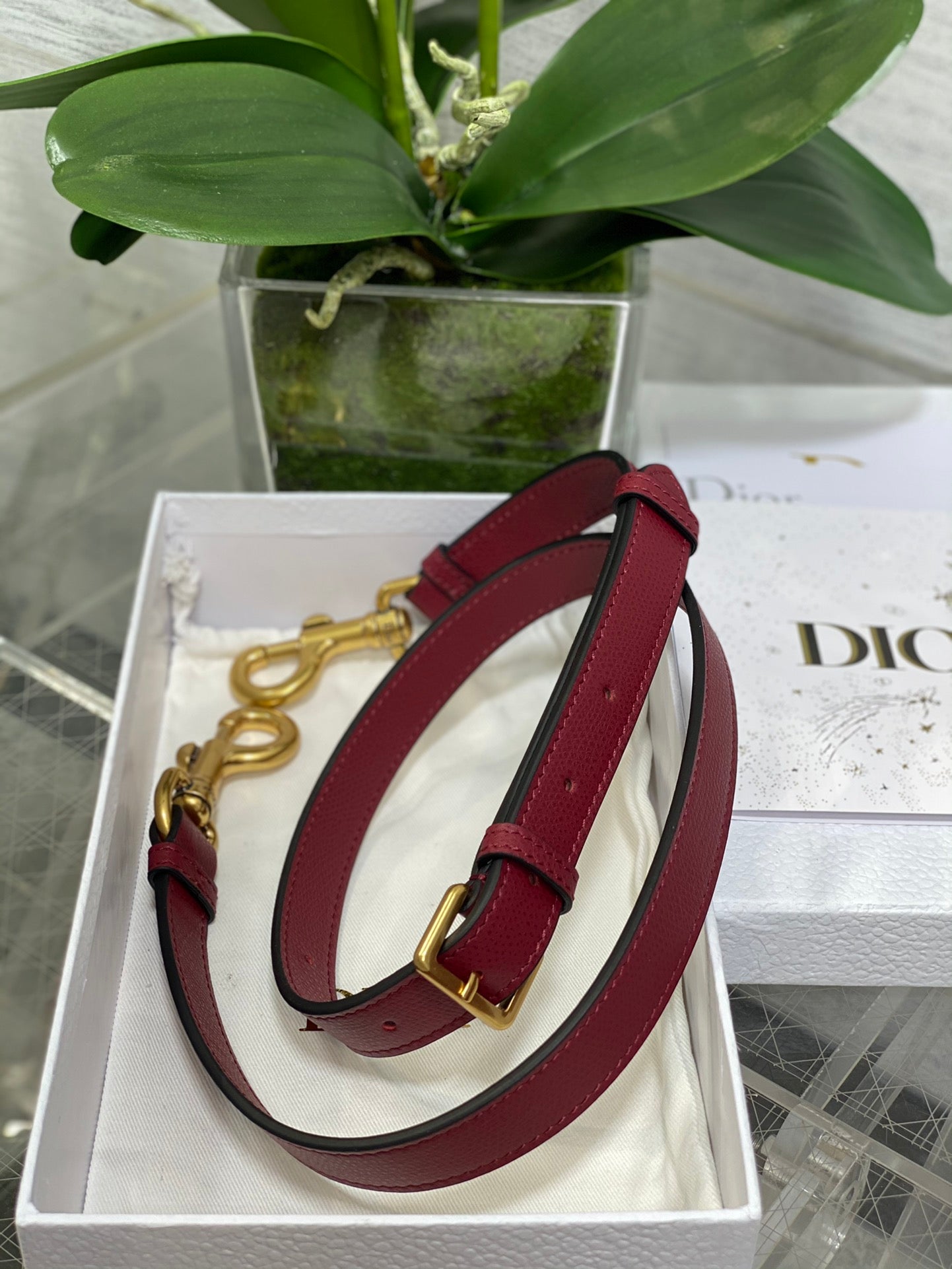 Dior Saddle Bag — Wine Red Grained Calfskin with Gold Hardware