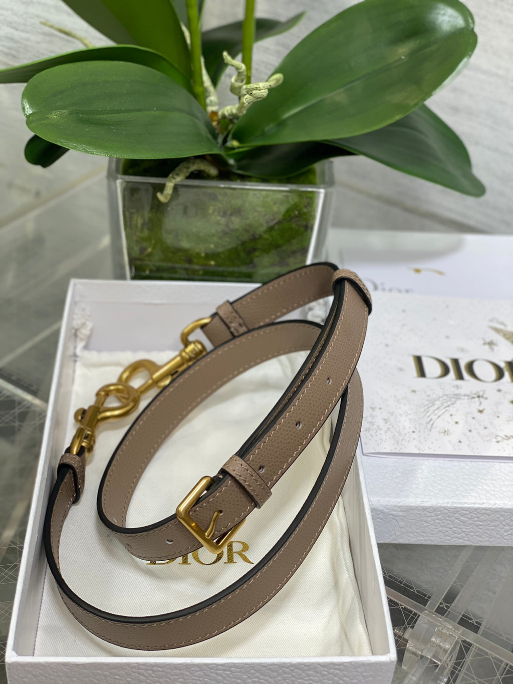 Dior Saddle Bag — Warm Taupe Grained Calfskin with Gold Hardware