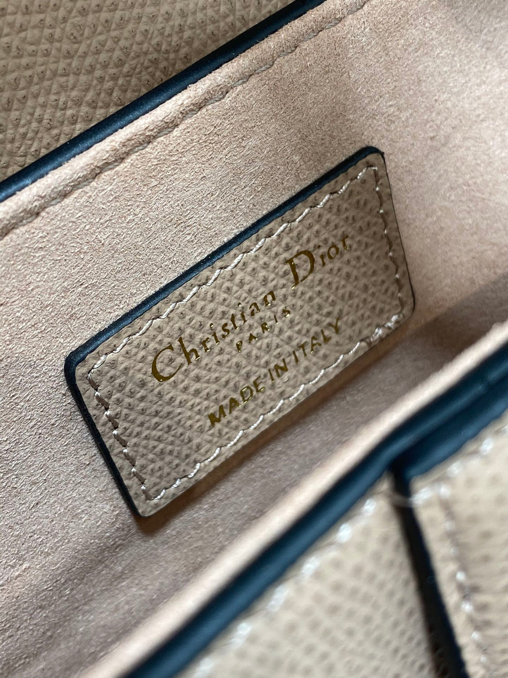 Dior Saddle Bag — Blush Pink Grained Calfskin with Gold Hardware
