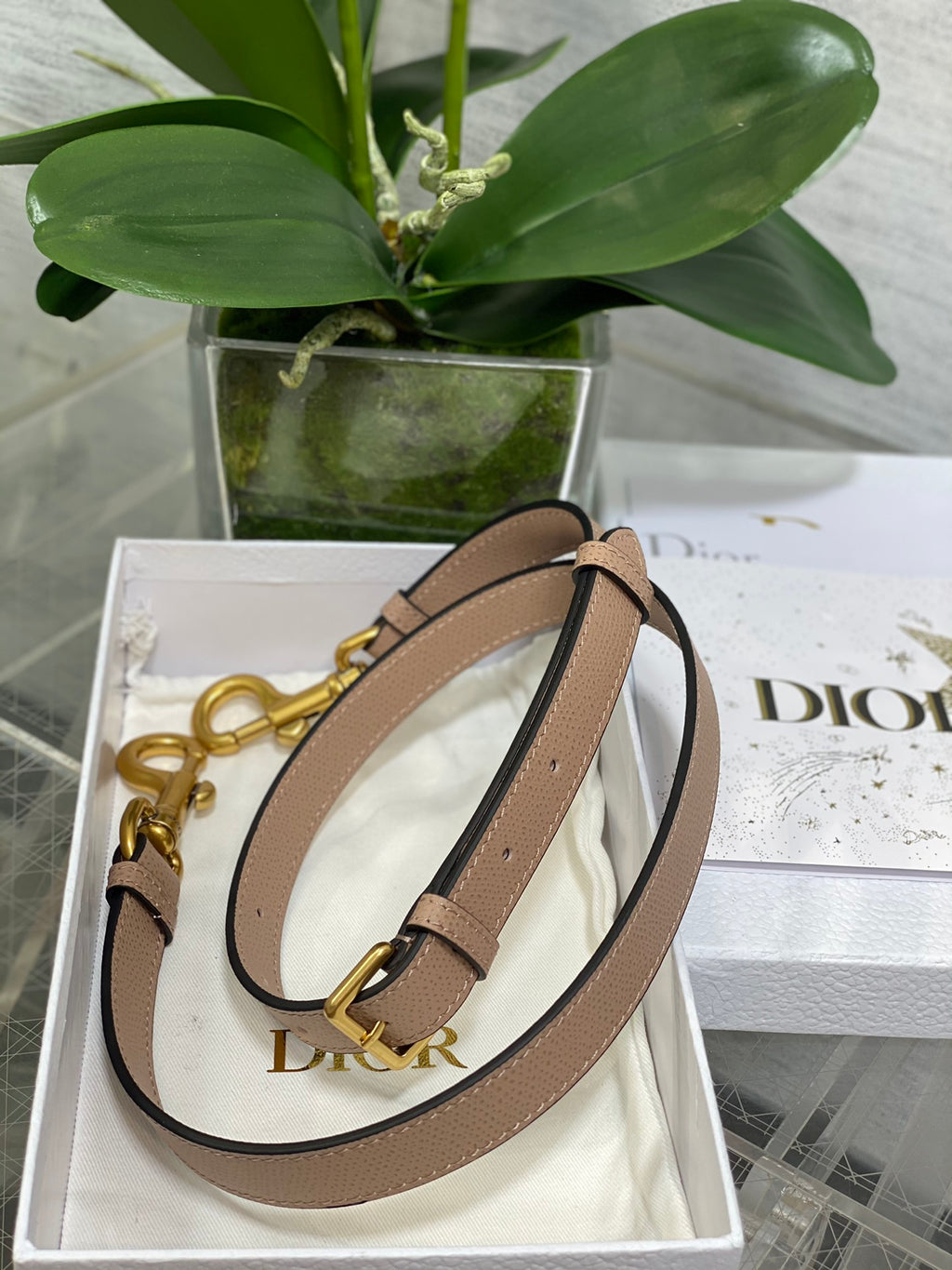 Dior Saddle Bag — Blush Pink Grained Calfskin with Gold Hardware