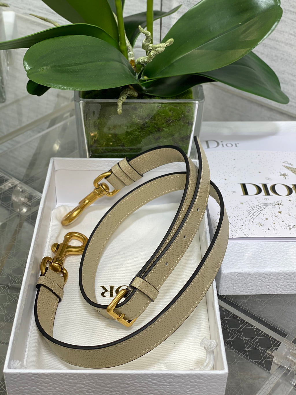Dior Saddle Bag — Ecru Grained Calfskin with Gold Hardware
