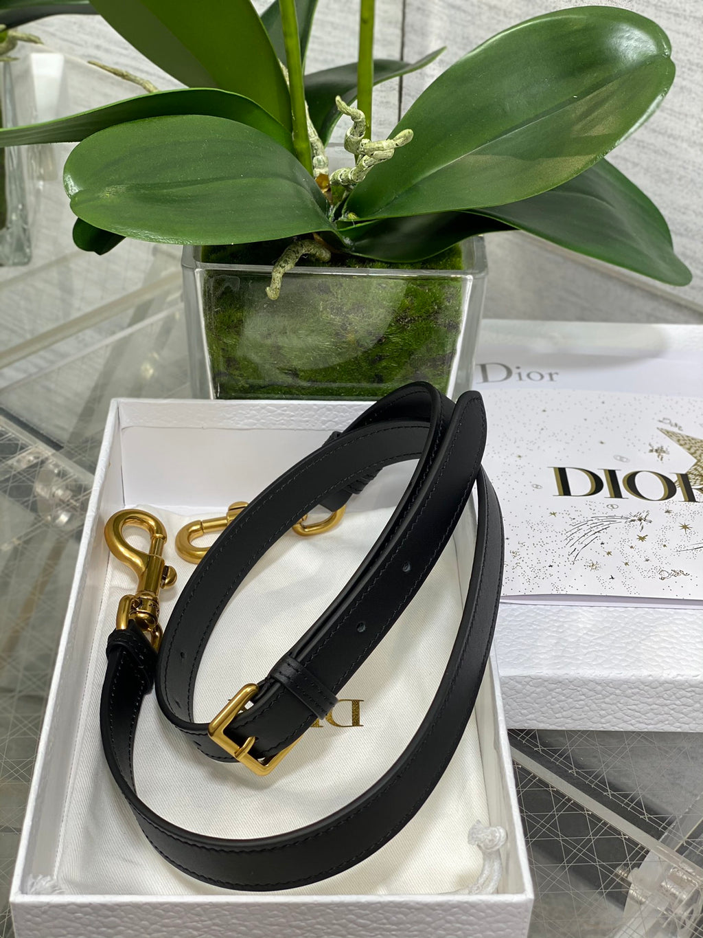 Dior Saddle Bag — Black Smooth Calfskin with Gold Hardware