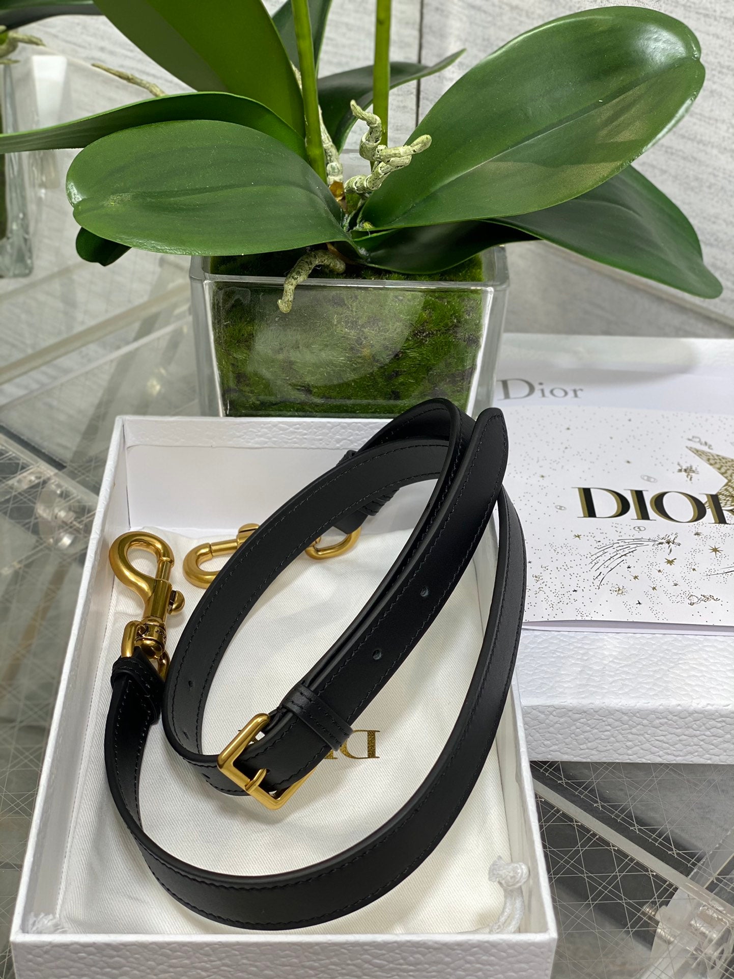 Dior Saddle Bag — Black Smooth Calfskin with Gold Hardware