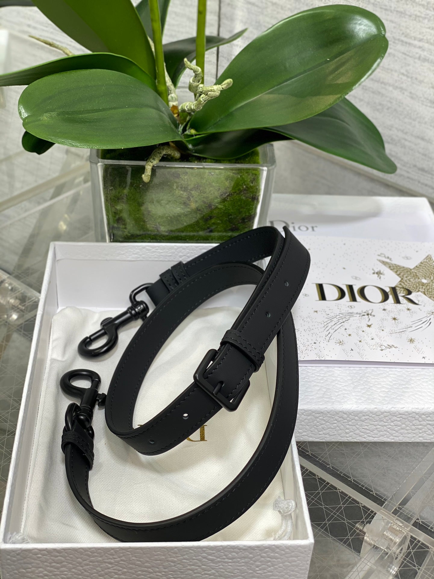 Dior Saddle Bag — Black Matte Calfskin with Black Hardware