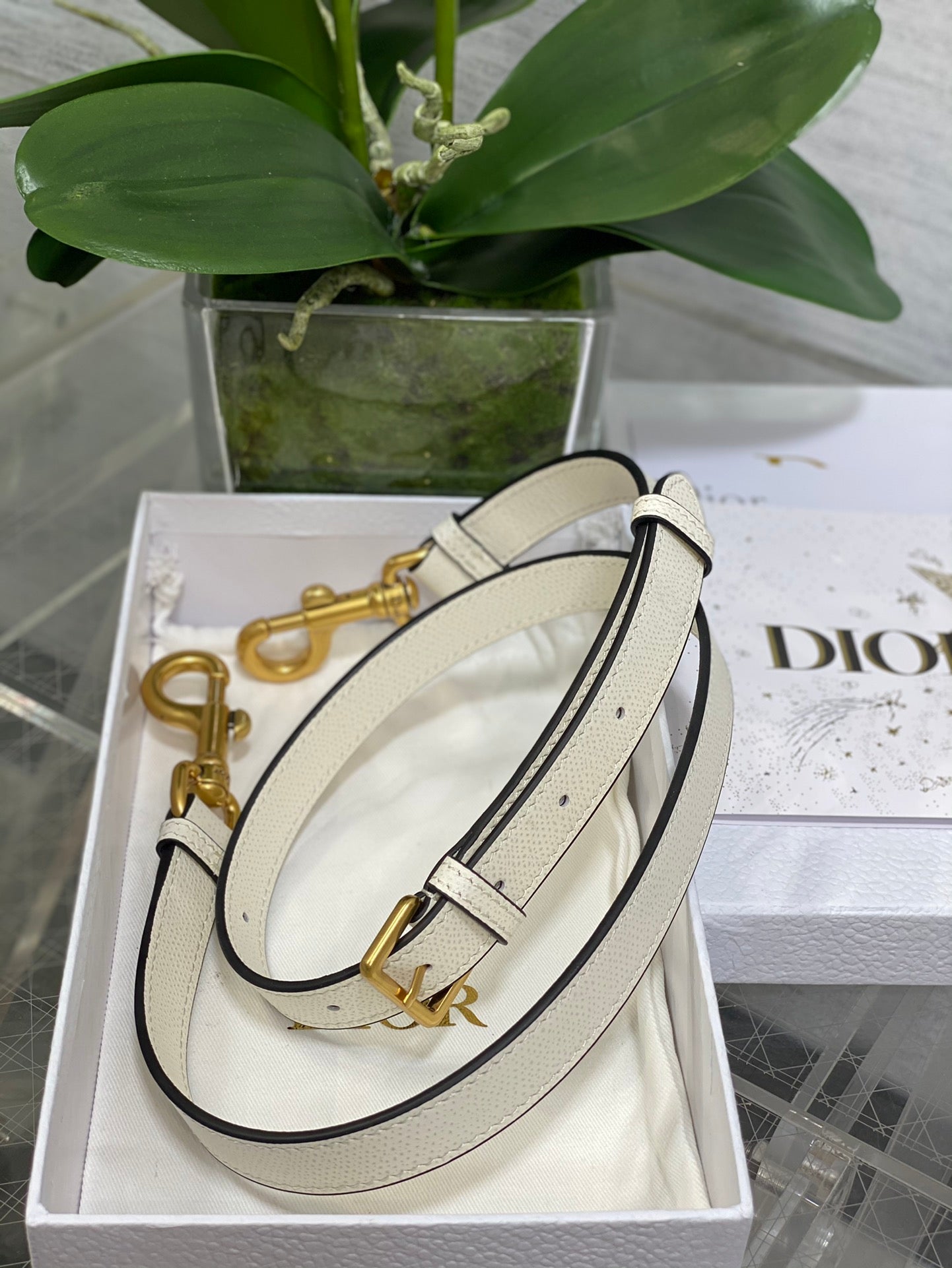 Dior Saddle Bag — White Grained Calfskin with Gold Hardware