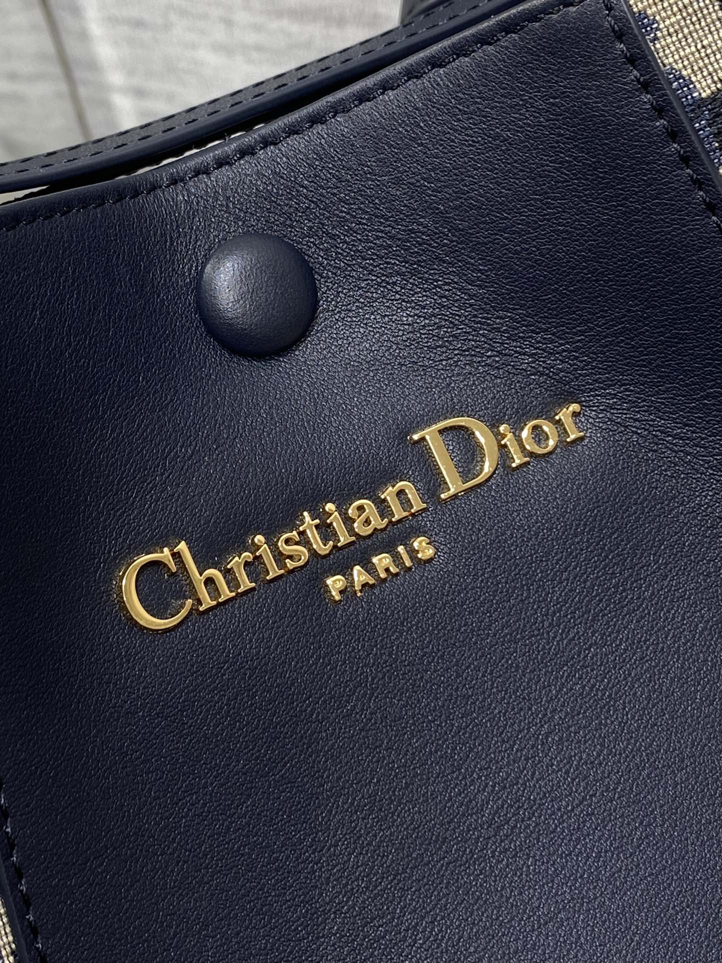 Dior C'est Dior Blue Oblique Jacquard Small Bucket Bag