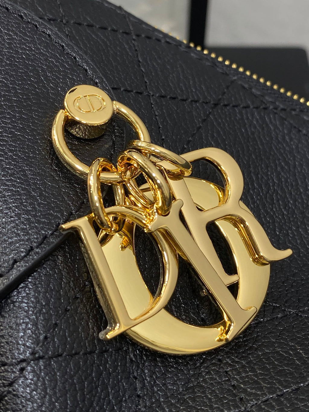 Dior Voyage Hobo Bag in Black