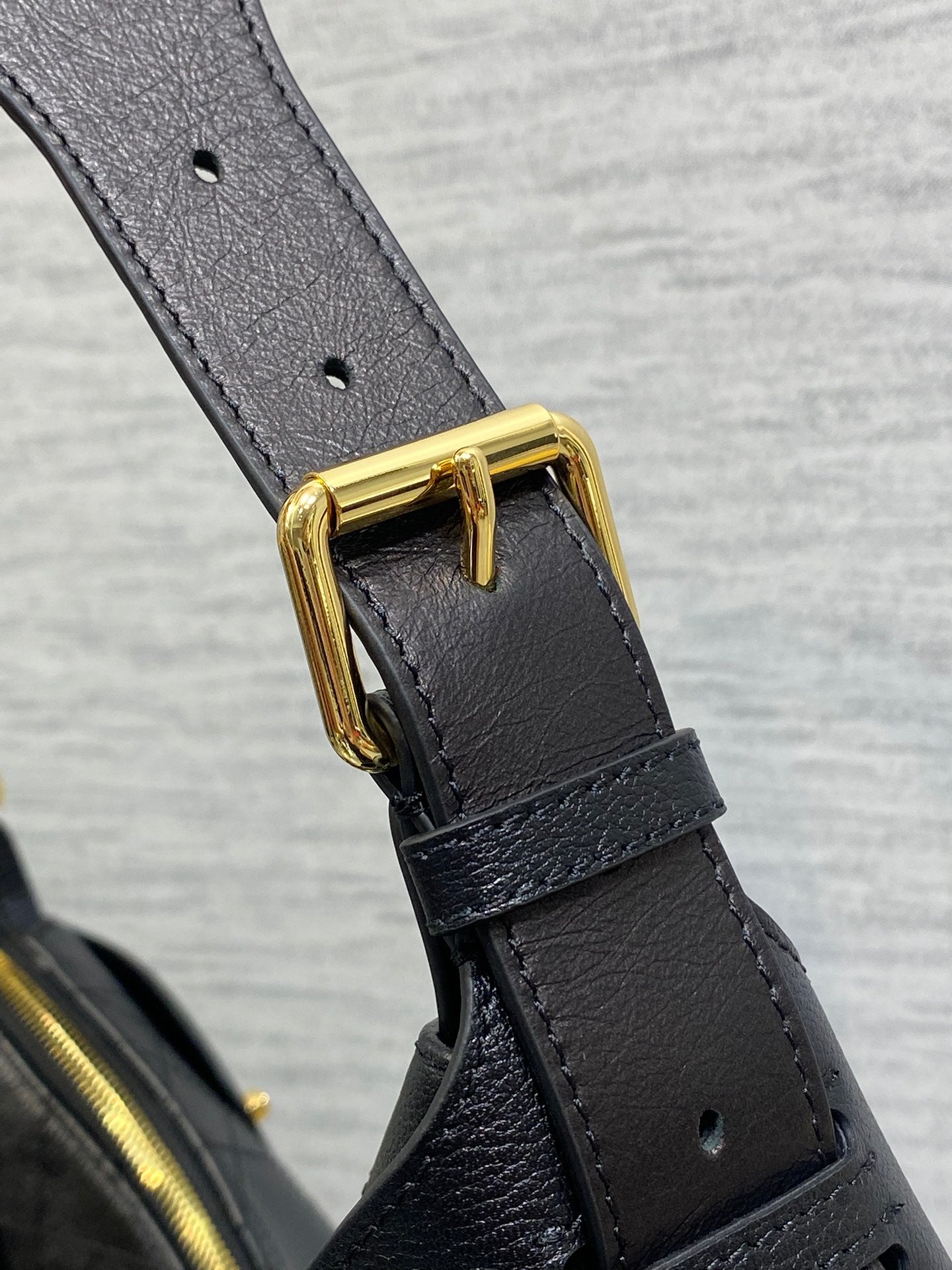 Dior Voyage Hobo Bag in Black