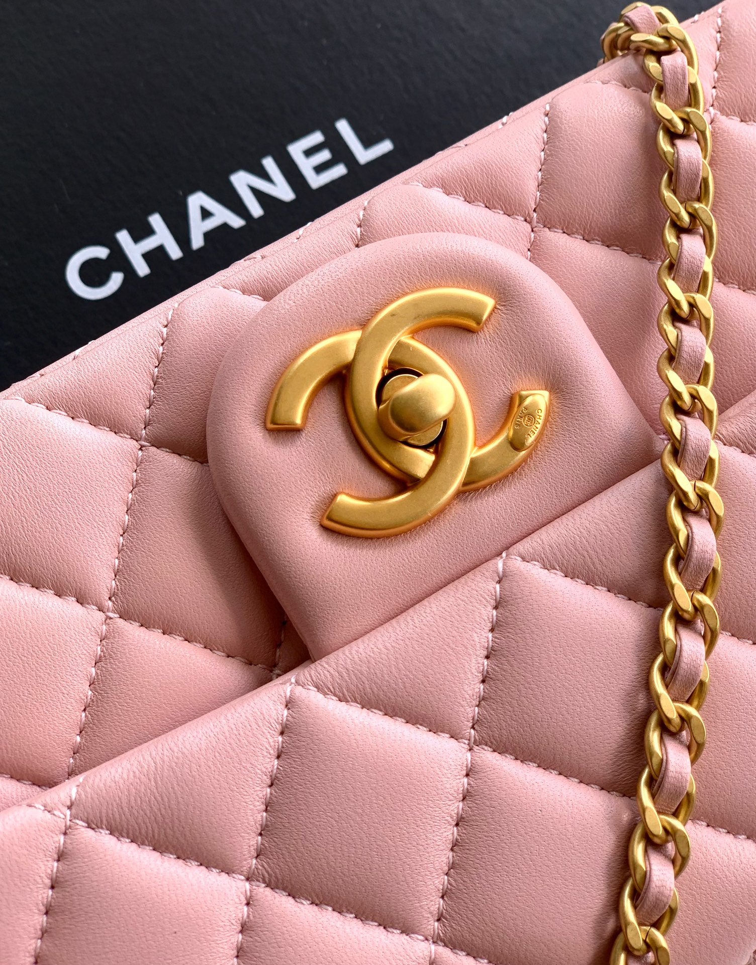 Chanel Classic Flap Medium Sakura Pink Gold Hardware CC Charm