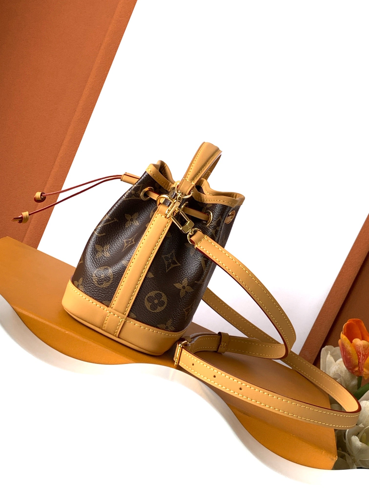 Louis Vuitton Nano Noé Bag