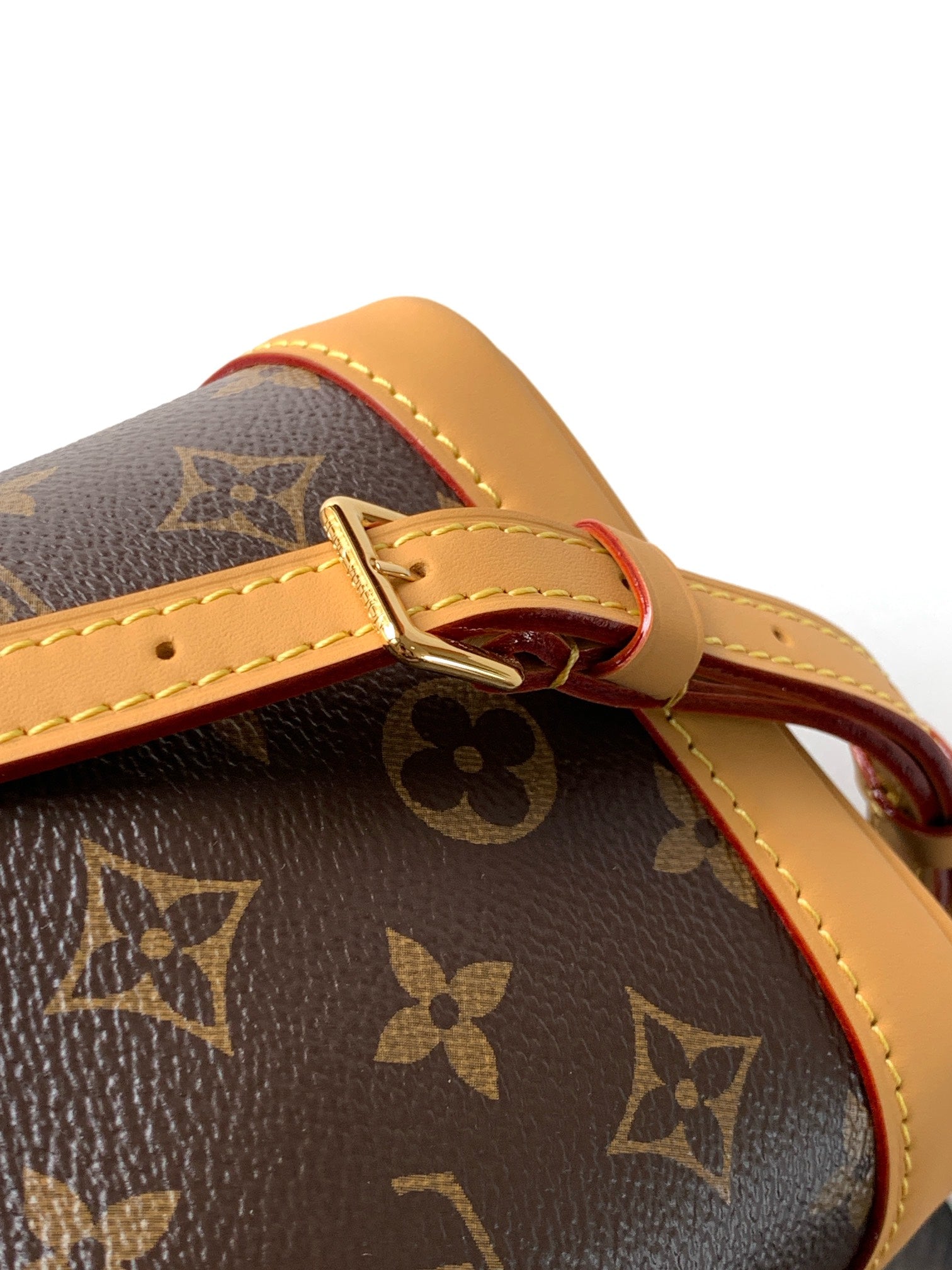 Louis Vuitton Nano Noé Bag