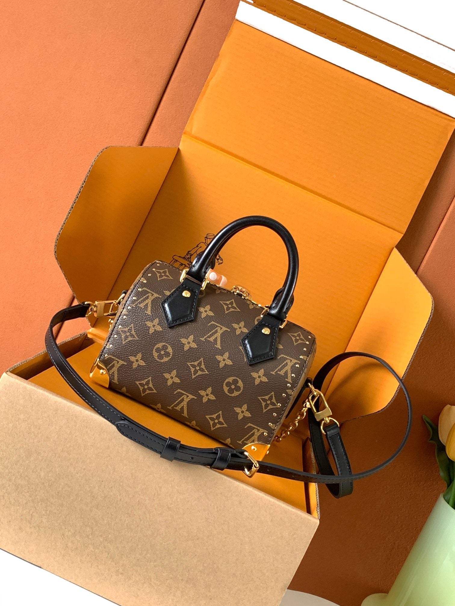 Louis Vuitton Speedy Trunk – Monogram