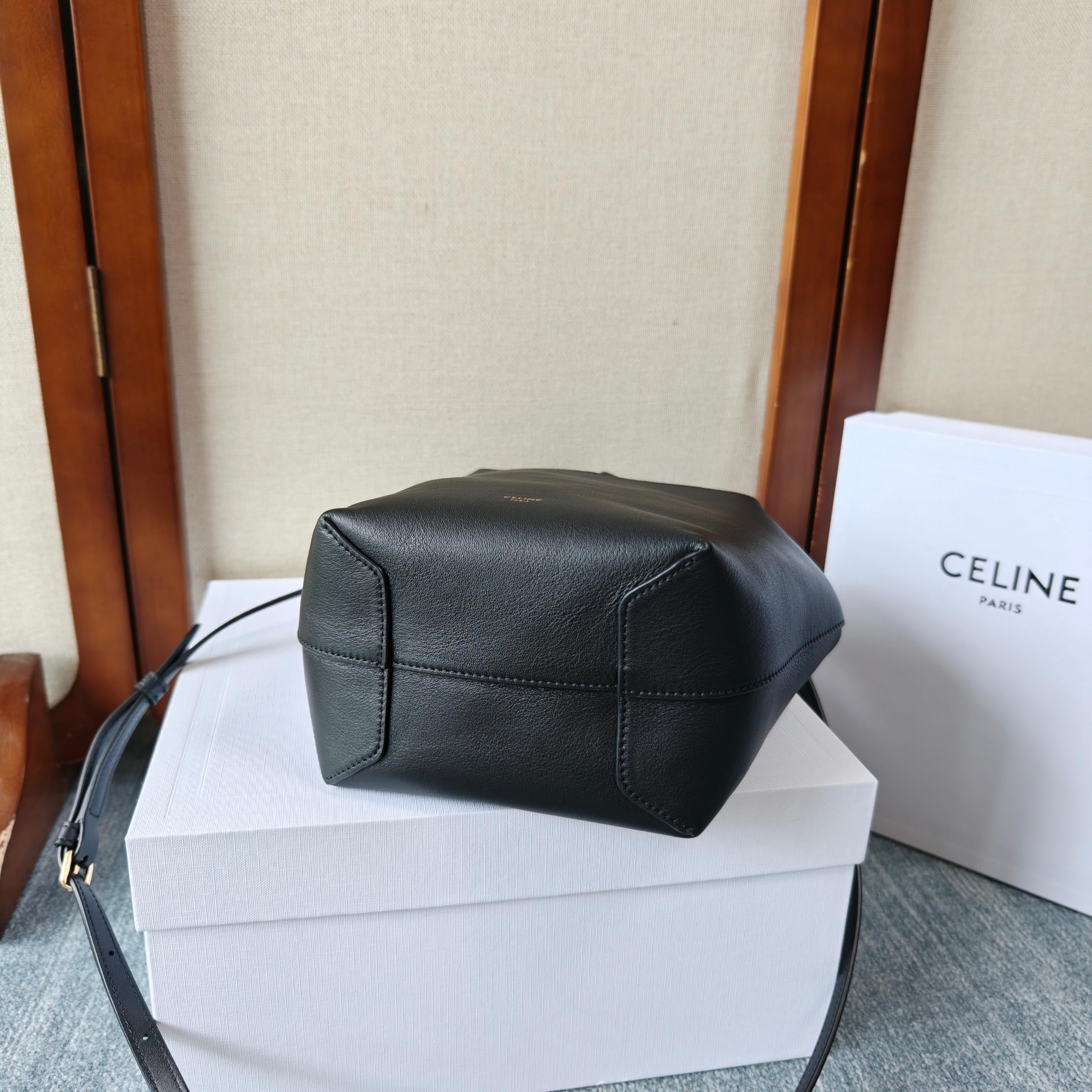 Celine Teen Hobo Bag – Black