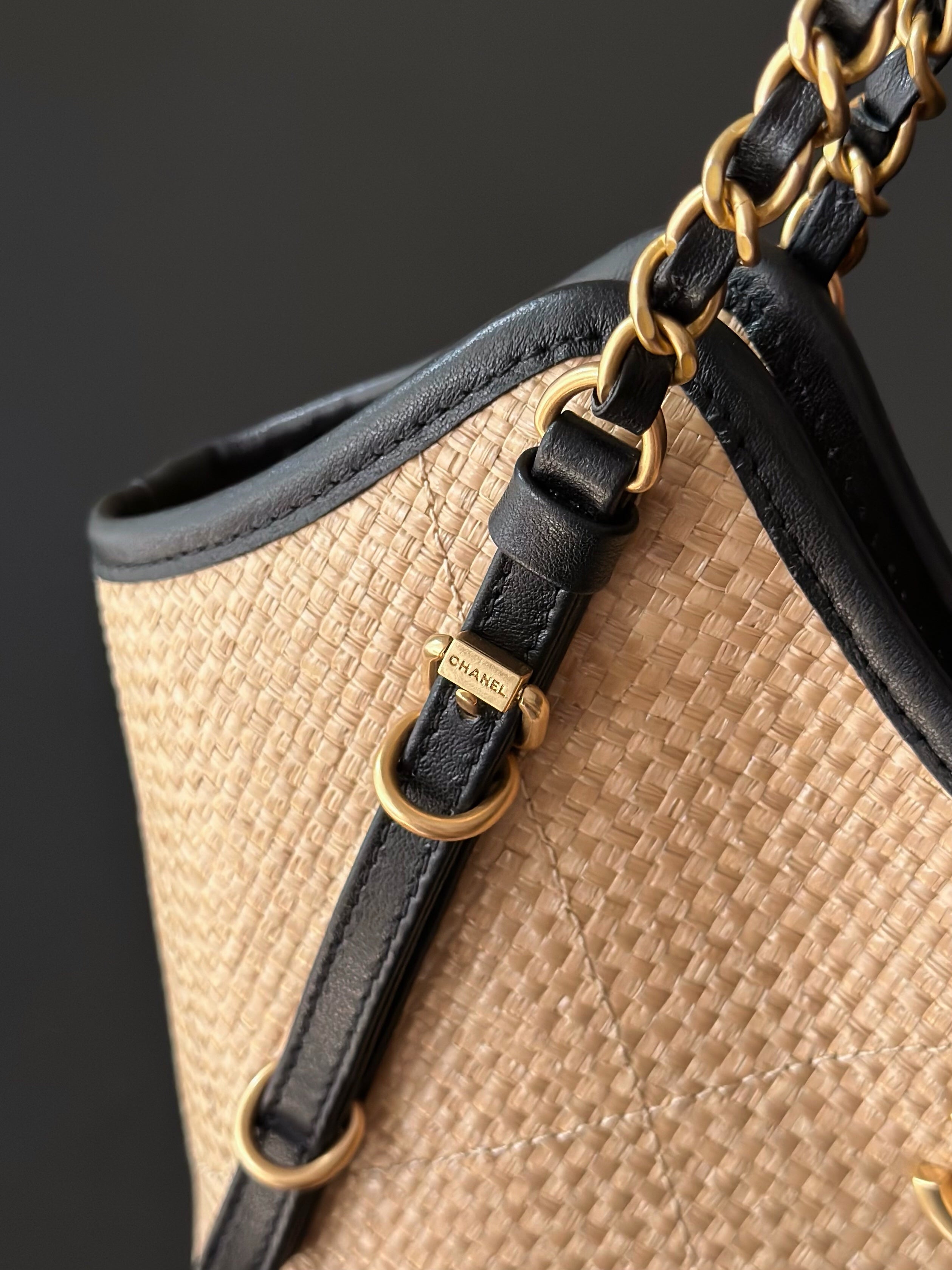 Chanel 25S Maxi Hobo Bag — Grass-Woven Cowhide Tote